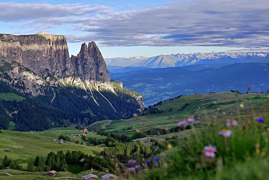 Paradiso Pure.Living Vegan Hotel Seiser Alm Zewnętrze zdjęcie
