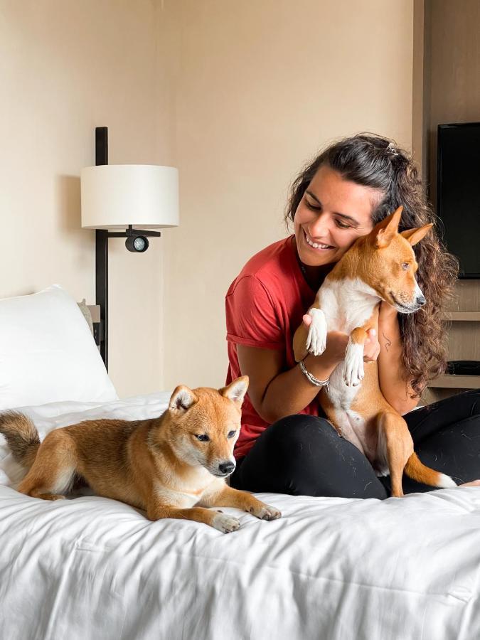 Paradiso Pure.Living Vegan Hotel Seiser Alm Zewnętrze zdjęcie